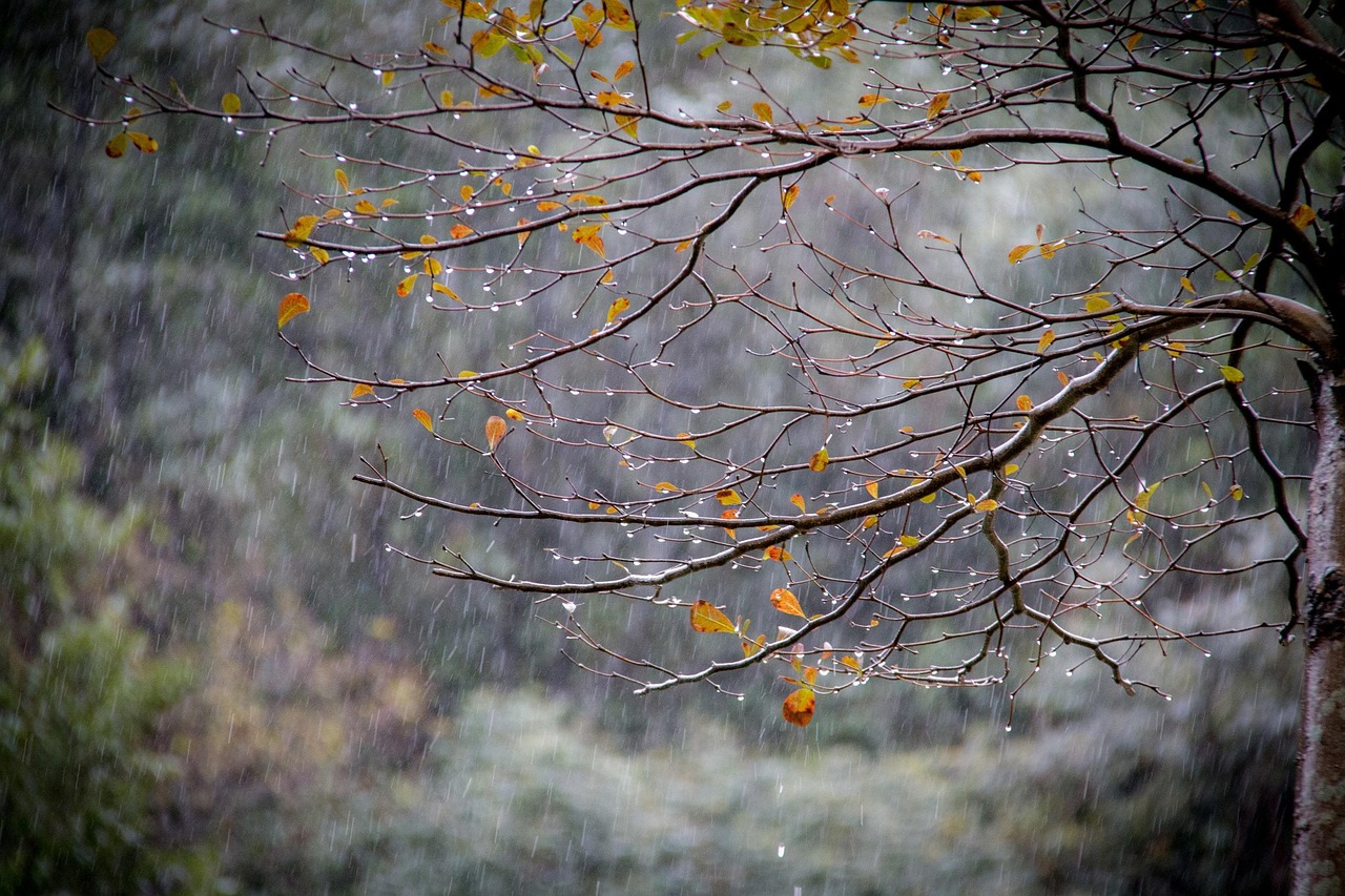 四月的雪落微扬，新著小说探秘